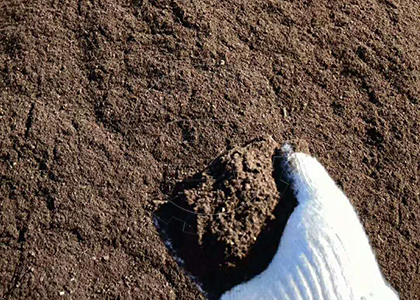 Fermented Cow Dung Powder Through Groove Type Compost Turners in SX