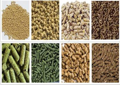 Columnar Granules of Different Materials From Our Flat Die Granulator in SX