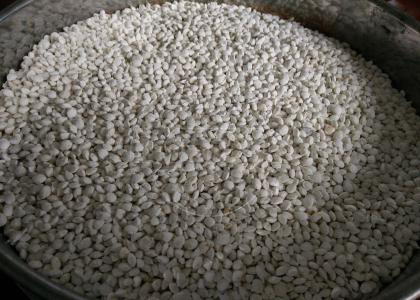Oval Compound Fertilizer Granules Produced by Roller Extrusion Granulator in Power Granules Pelleting