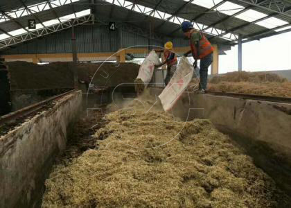 Adding Straw and Other Auxiliary Materials to the Trench