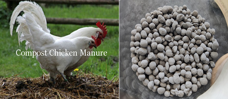 Chicken Manure Organic Fertilizer Plant
